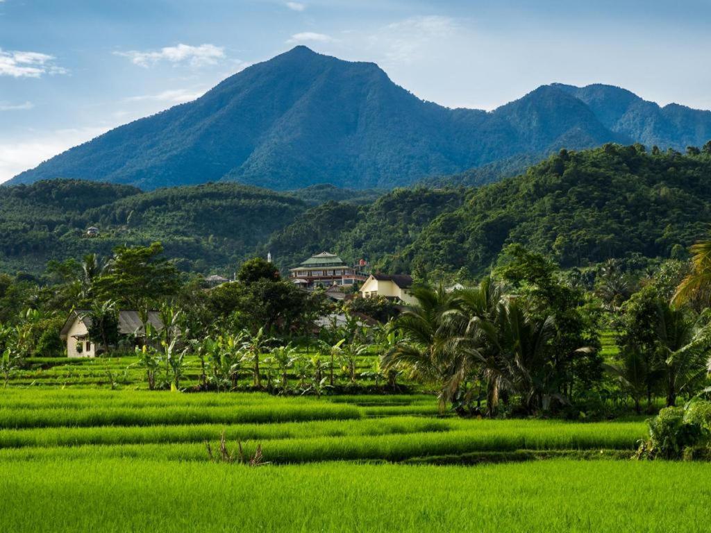 The Mirah Hotel Bogor Ngoại thất bức ảnh